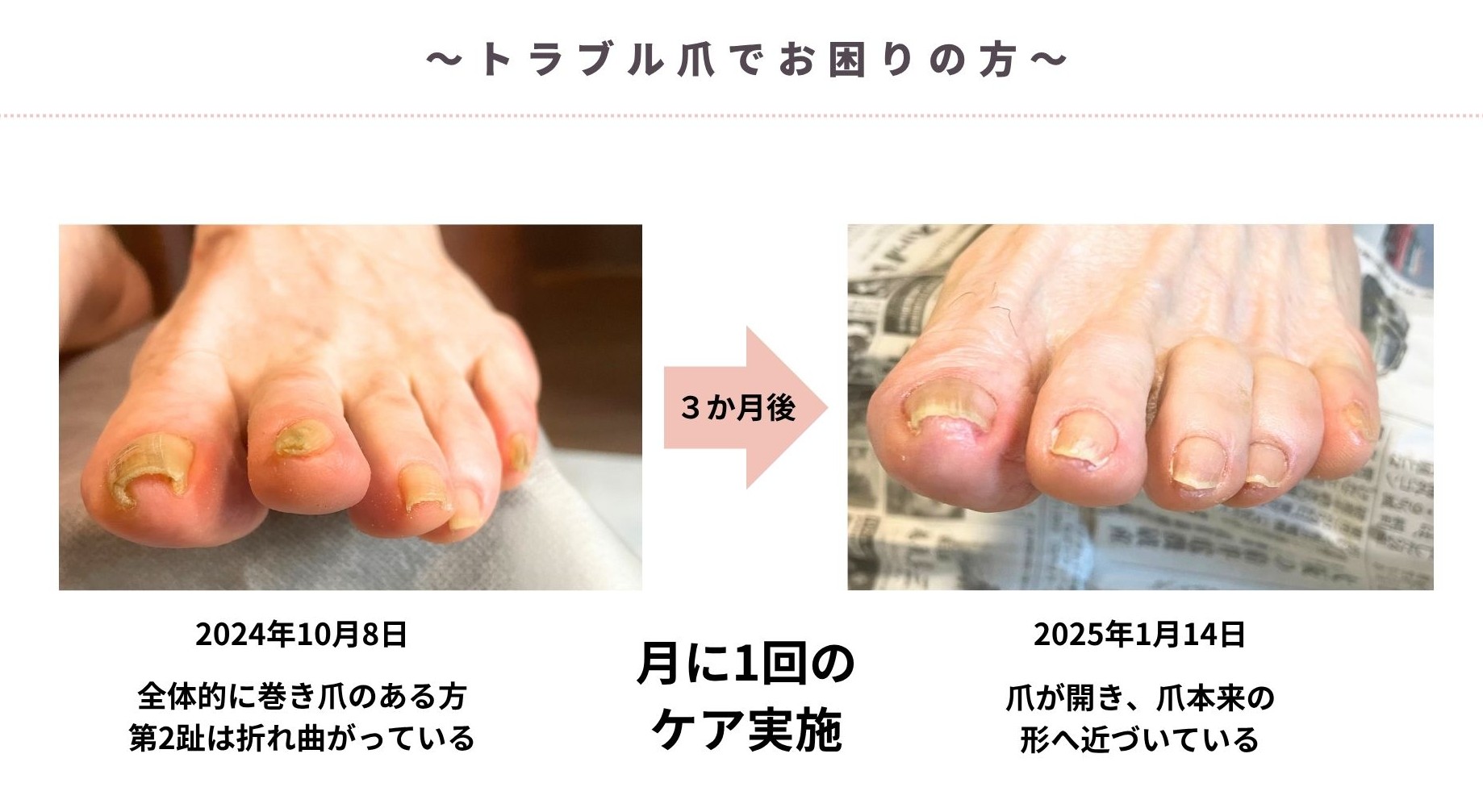 サービス紹介・料金表